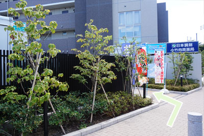 順路